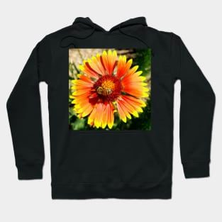 Orange and Red Gaillardia Prairie Flower with Bee Macro Hoodie